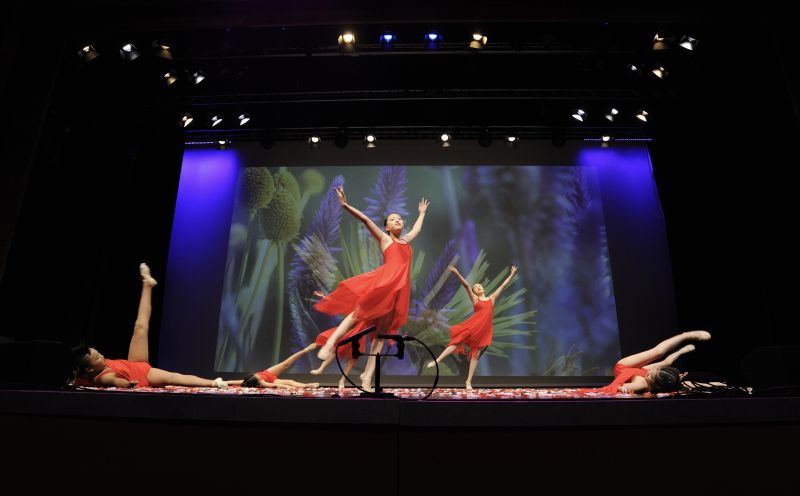 performance