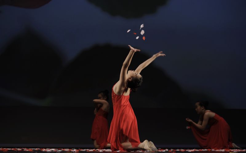 performance